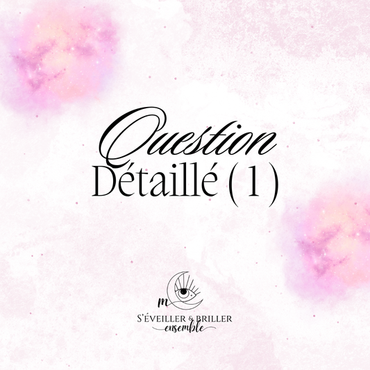 1 question détaillée  — Guidance PDF